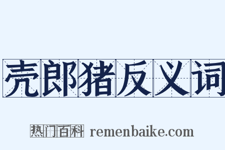 壳郎猪反义词是什么意思的图片